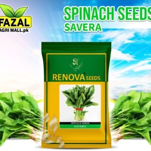 Buy Savera Spinach Seeds in Pakistan | High-Yield, Desi Palak | Fazal Agri Mall