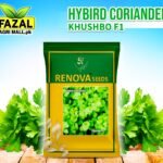 Buy Hymeric Coriander Seeds Online in Pakistan - High Yield, Disease Resistant | Fazal Agri Mall