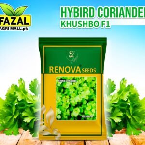 Buy Hymeric Coriander Seeds Online in Pakistan - High Yield, Disease Resistant | Fazal Agri Mall