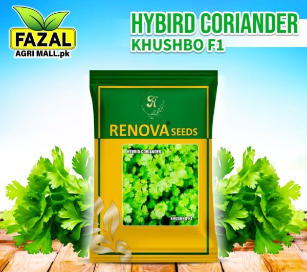 Buy Hymeric Coriander Seeds Online in Pakistan - High Yield, Disease Resistant | Fazal Agri Mall
