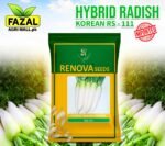 Buy Hybrid Radish Korean Seeds Online in Pakistan - Fazal Agri Mall