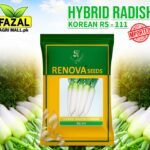 Buy Hybrid Radish Korean Seeds Online in Pakistan - Fazal Agri Mall