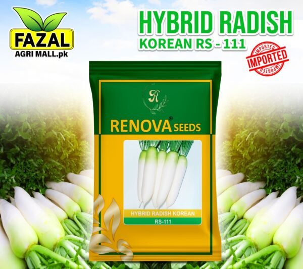 Buy Hybrid Radish Korean Seeds Online in Pakistan - Fazal Agri Mall