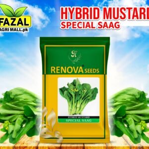 Hydual Mustard Special Saag Seeds for Sale in Pakistan | High Yield | Fazal Agri Mall