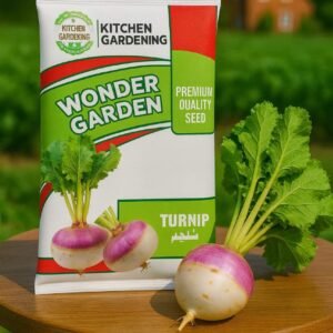 Buy Best Turnip Seeds in Pakistan - High Yield, Desi Varieties