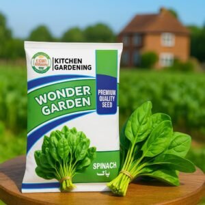 Buy Premium Spinach Seeds Online in Pakistan - High Yield, Desi Varieties | Fazal Agri Mall