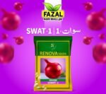 Buy Seed Onion Sawat Online in Pakistan