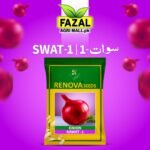 Buy Seed Onion Sawat Online in Pakistan