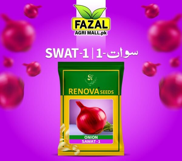 Buy Seed Onion Sawat Online in Pakistan Buy Seed Onion Sawat Online in Pakistan