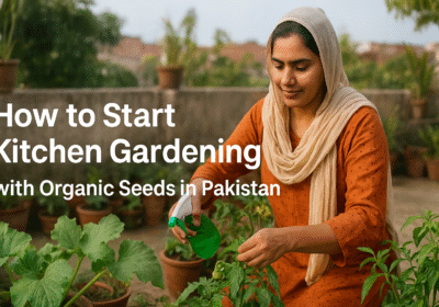 How to Start Kitchen Gardening with Organic Seeds in Pakistan