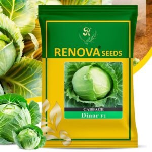 Renova Seeds Cabbage Dinar F1 Hybrid Seeds – High Yield, Uniform Round Heads 10g