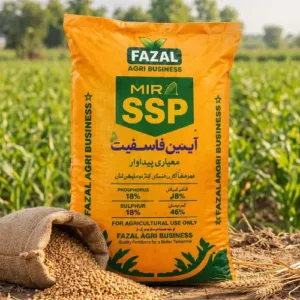 Fazal Agri Business MIR SSP Fertilizer 50kg