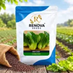 Renova Seeds Bok Choi China Man 10 g