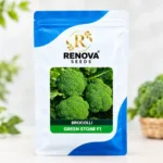 Renova Seeds Broccoli Green Stone F1 10 g