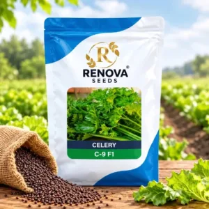 Renova Celery C-9 F1 10g Seeds