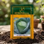 Renova Hybrid Cabbage Stone Age F1 10g Seeds