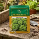 Renova Seeds Hybrid Lettuce Prada F1 50g Pack