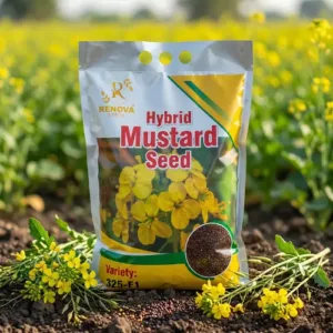 Renova Hybrid Mustard Seed RS-666 2 kg