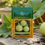 Renova Seeds Hybrid Squash Bonus F1 Seeds – 100g