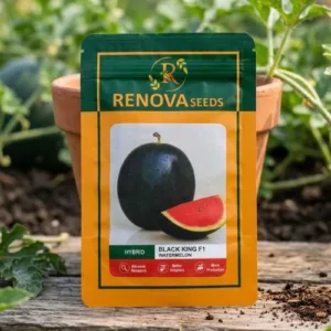 Renova Hybrid Watermelon Black King F1 Seeds 50g