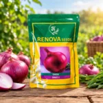 Renova Seeds Onion Swat-1 1kg onion seeds