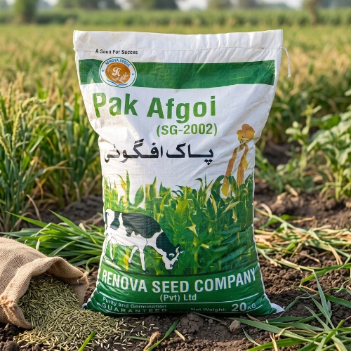 Renova Seeds Pak Afgoi SG-2002 (20 kg) Renova Seeds Pak Afgoi SG-2002 20 kg fodder maize seed