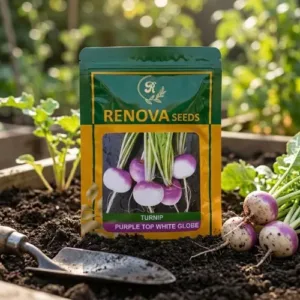 Renova Seeds Turnip Purple Top White Globe 200g Pack