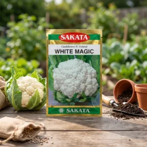 SAKATA Cauliflower F1 Hybrid White Magic (20 g)